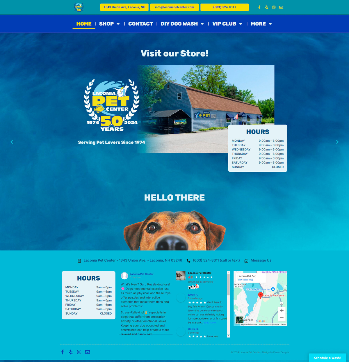 Website Design