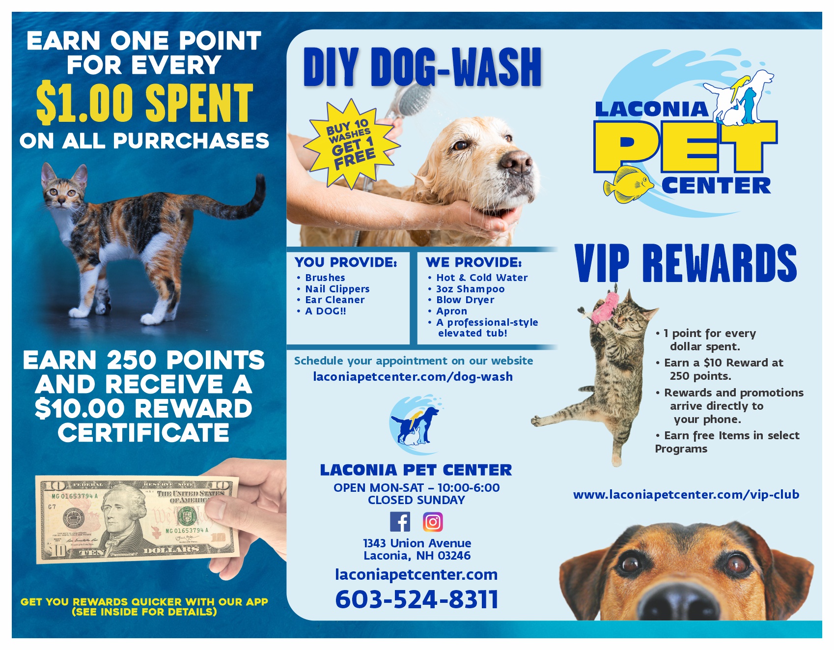 Laconia Pet center, reworked the logo and branding for their materials!